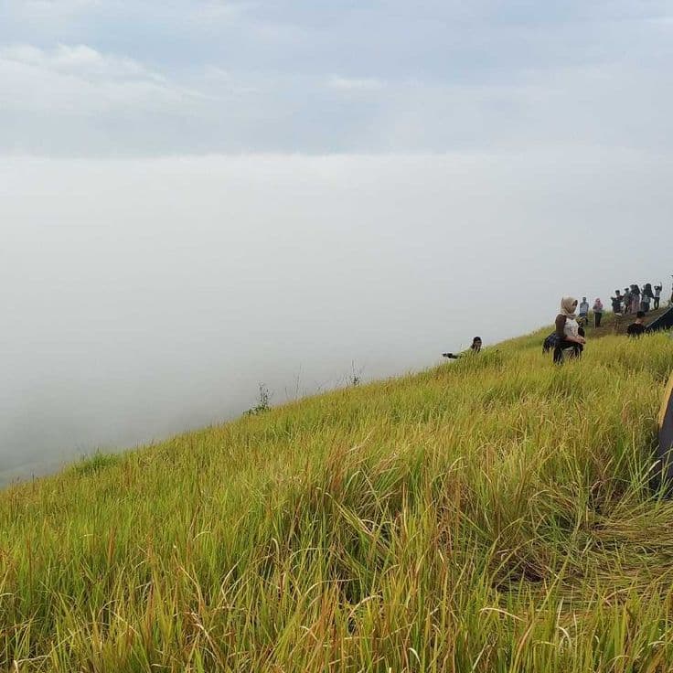 Puncak Aua Sarumpun 4